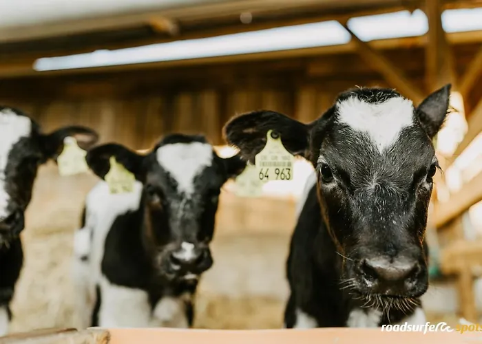 דירה Roemer Schwaigern